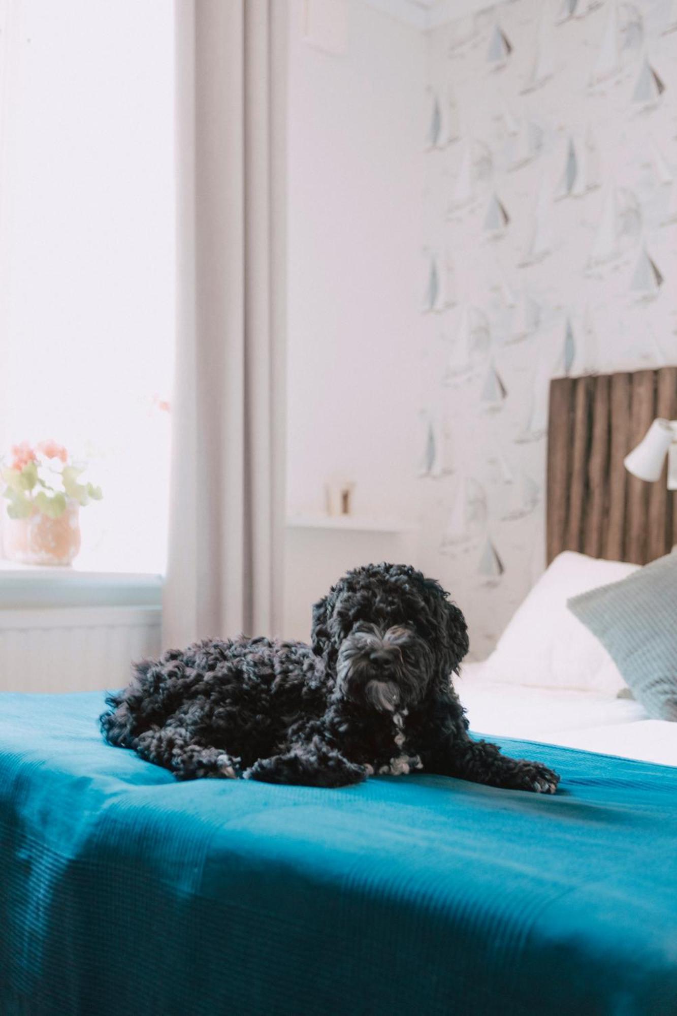 Hasseloe Hostel Ngoại thất bức ảnh